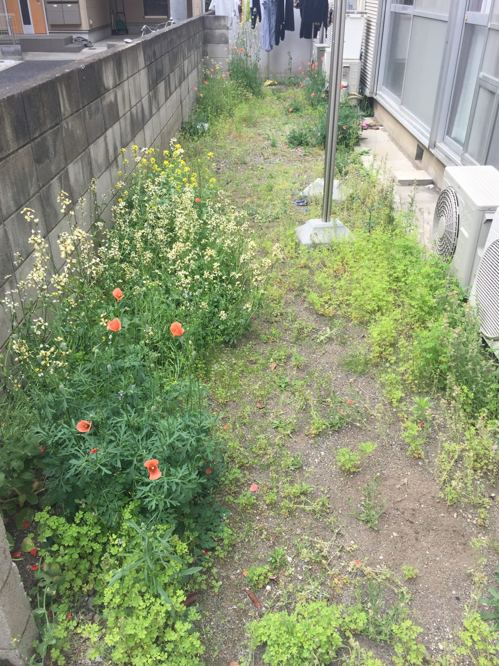 037 板橋本町アパート-内装14